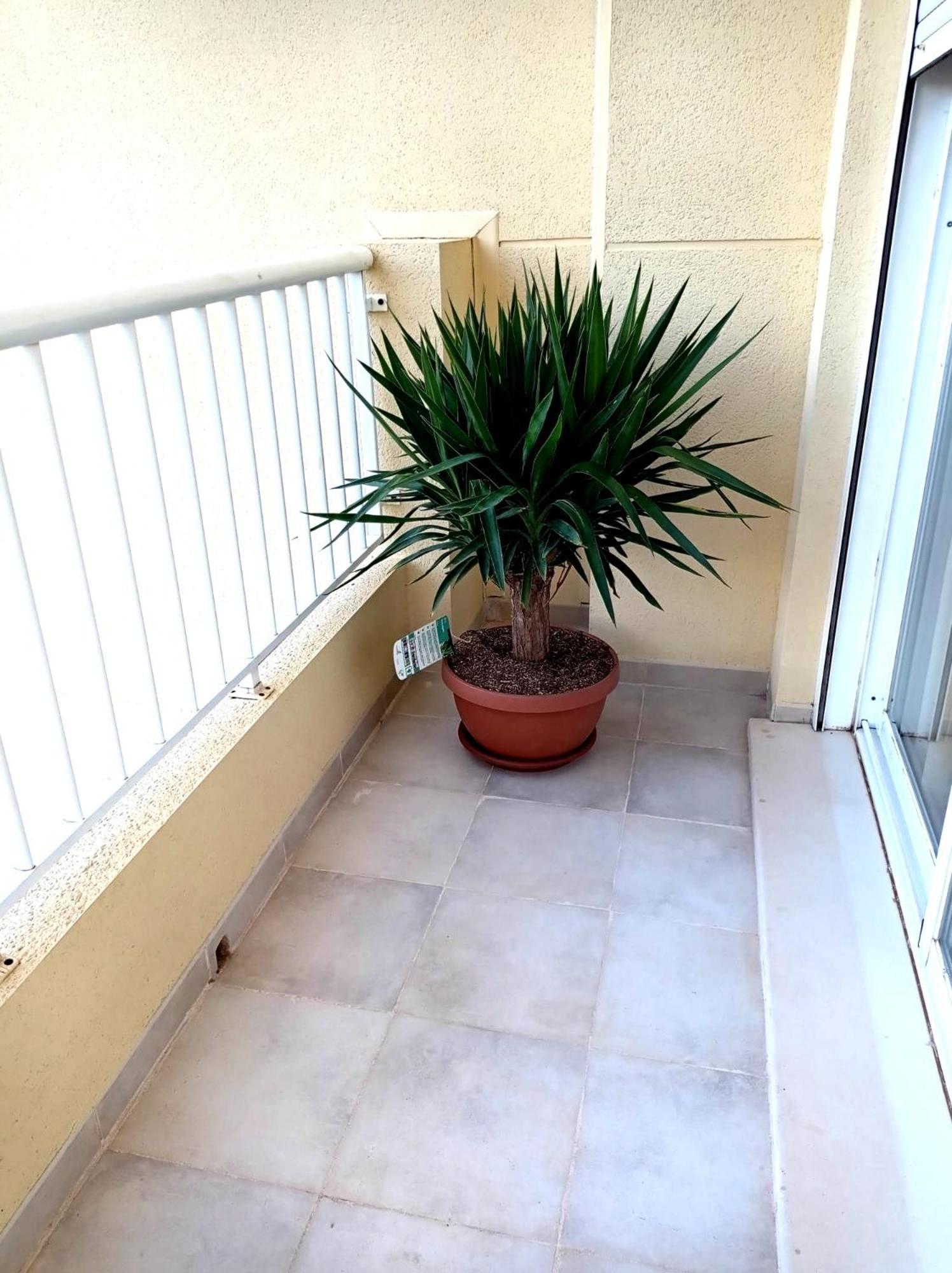 Apartamento Playasol Dénia Exterior foto